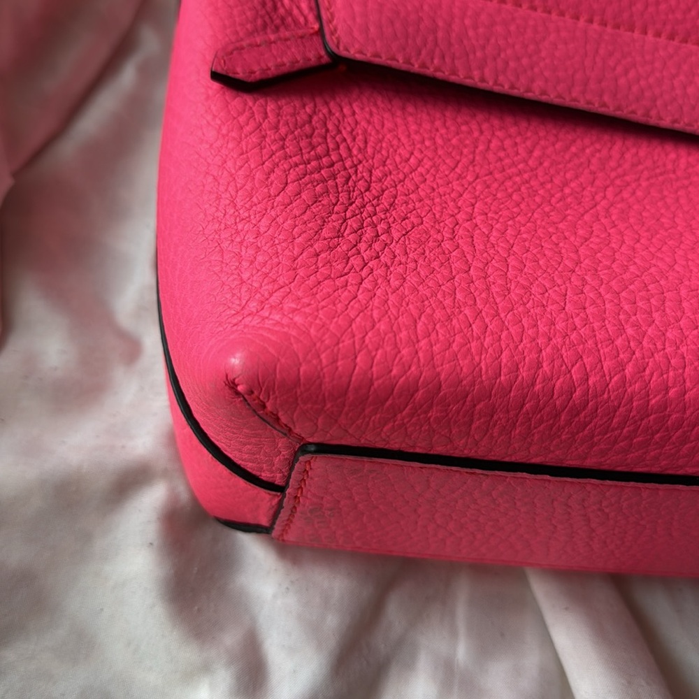 Burberry Pink Crossbody Bag - Picture 8 of 10